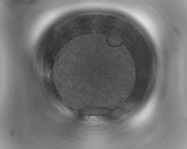 X0000115280239200911272013