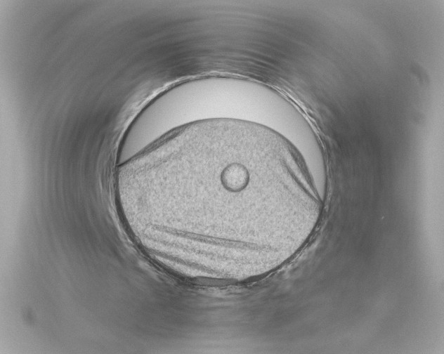 X0000115280241200911272013