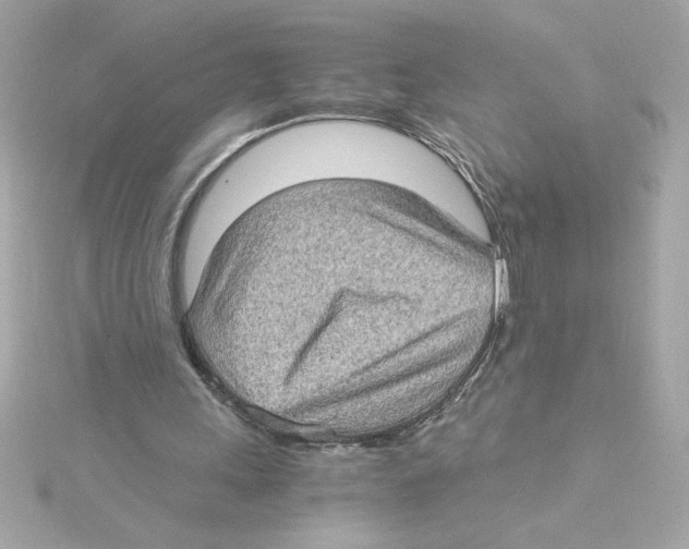 X0000115280243200911272013