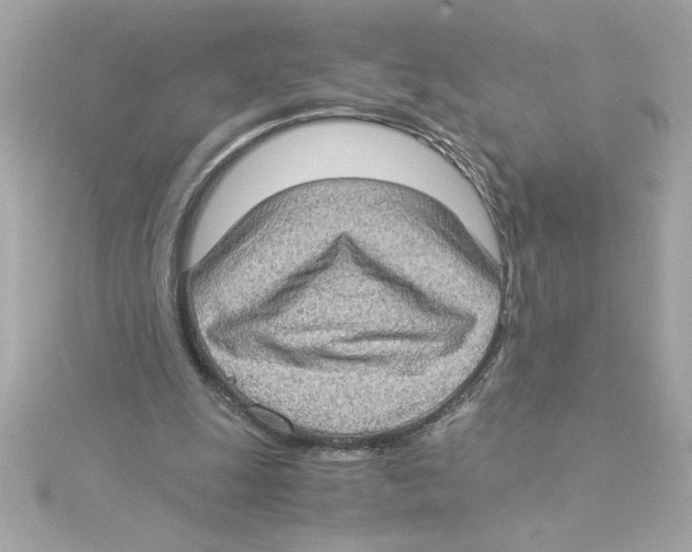 X0000115280247200911272013