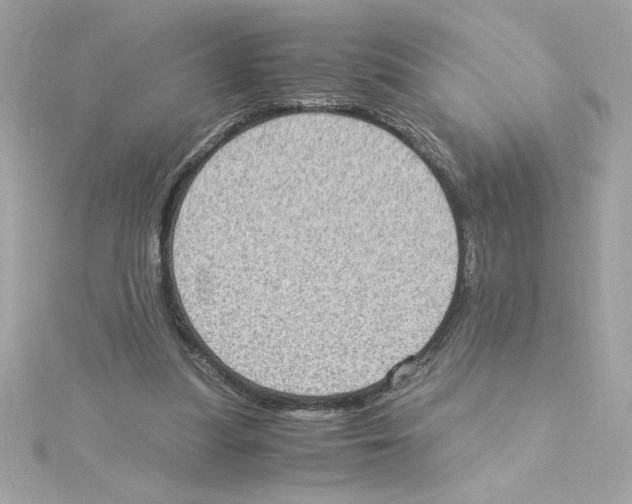 X0000115280251200911272013