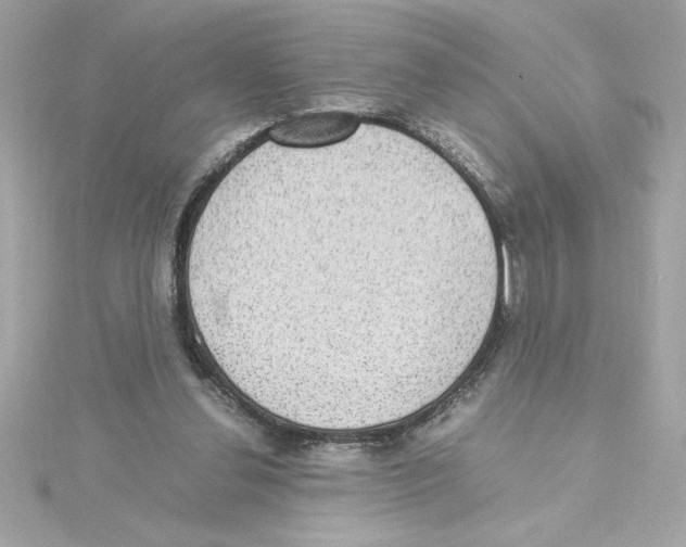 X0000115280252200911272013