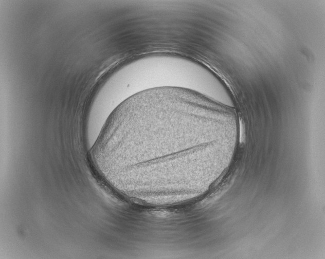 X0000115280253200911272013