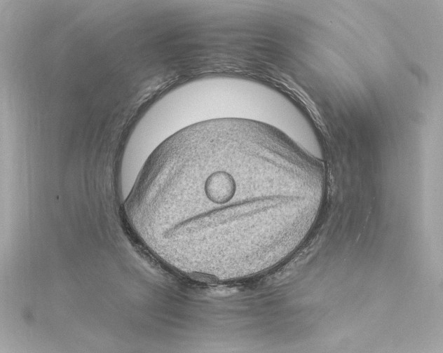 X0000115280257200911272013