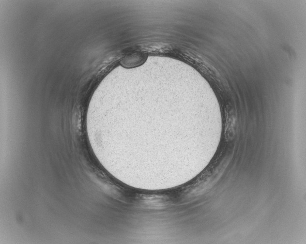 X0000115280268200911272013