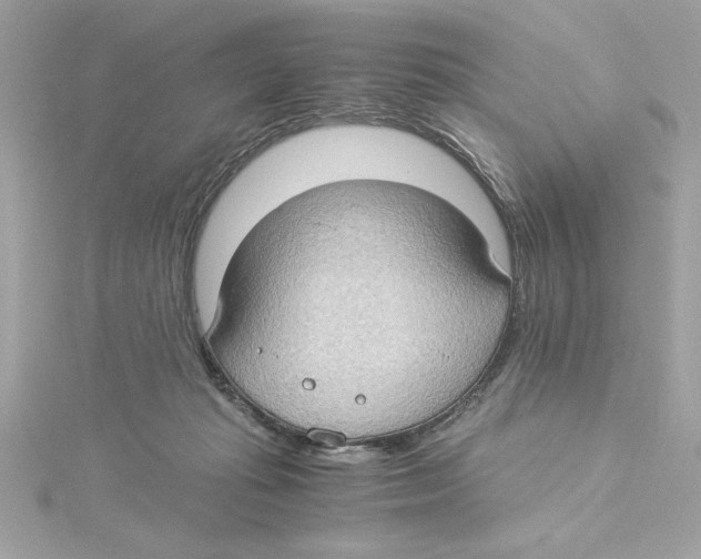 X0000115280269200911272013