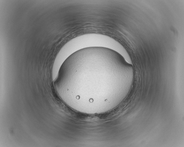 X0000115280271200911272013