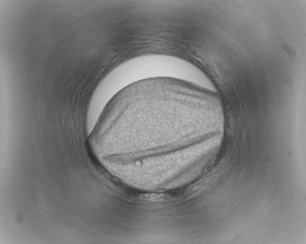 X0000115280273200911272013