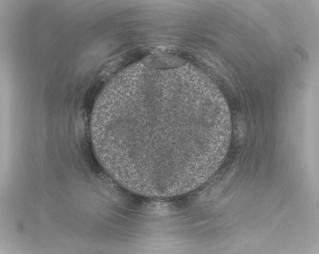 X0000115280276200911272013