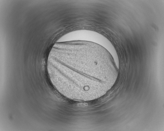 X0000115280279200911272013