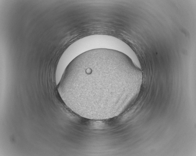 X0000115280287200911272013