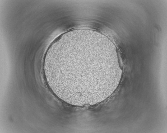 X0000115280289200911272013