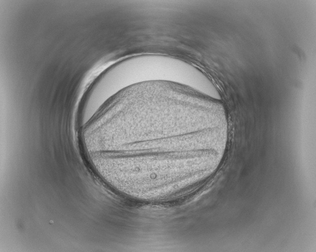 X0000115280294200911272012