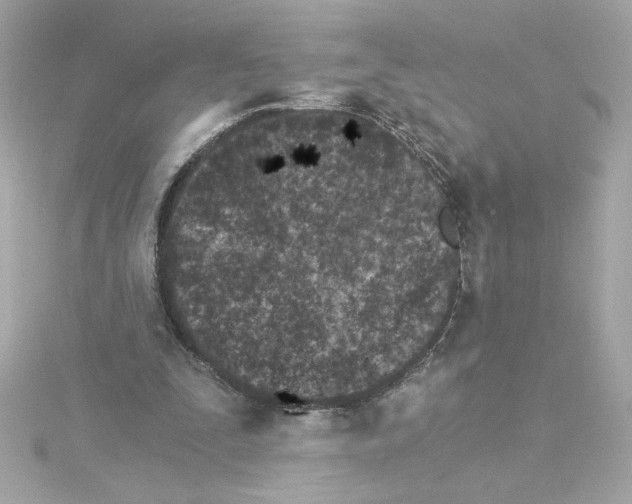 X0000115280295200911272012