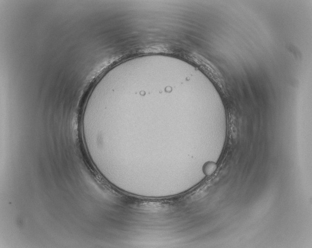 X0000115280298200911272012