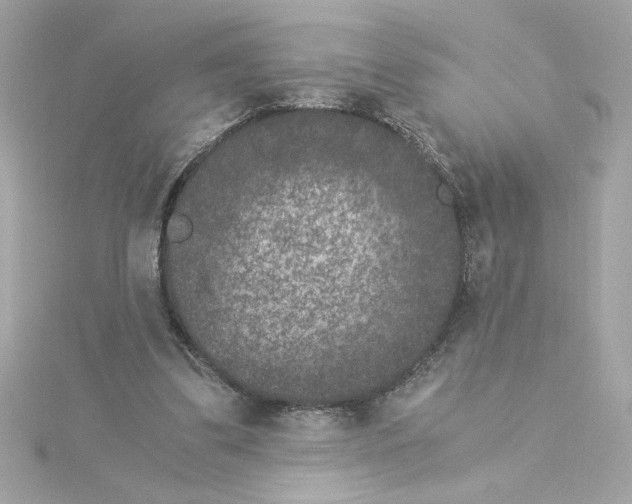 X0000115280299200911272012