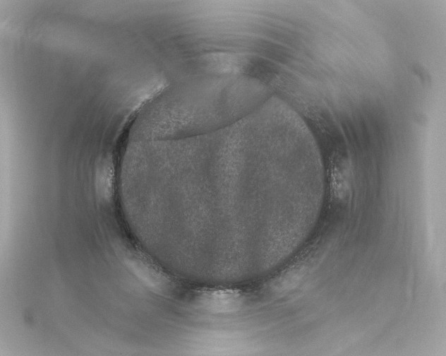 X0000115280304200911272012