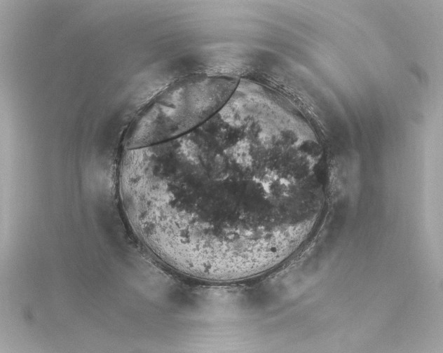 X0000115280305200911272012