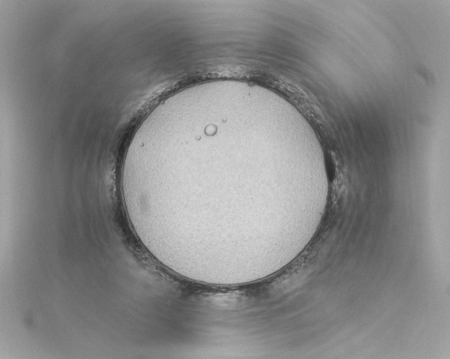 X0000115280306200911272012