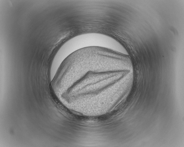 X0000115280308200911272012