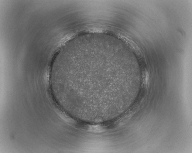 X0000115280309200911272012