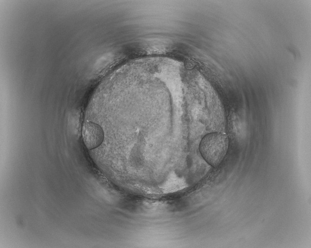 X0000115280311200911272012