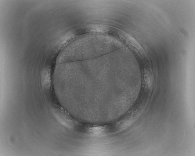 X0000115280312200911272012