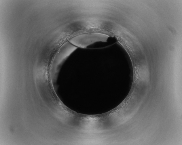 X0000115280313200911272012