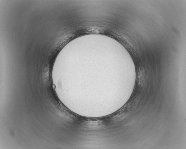 X0000115280314200911272012