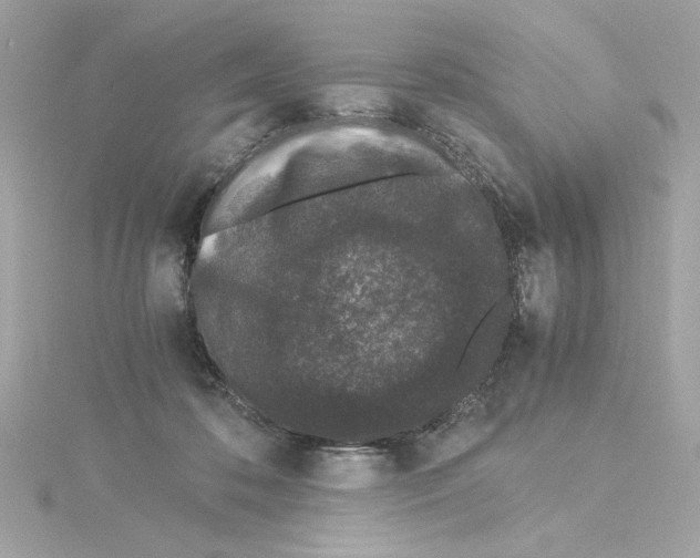 X0000115280316200911272012