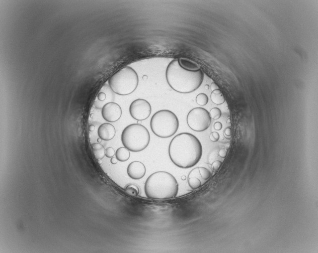 X0000115280317200911272012