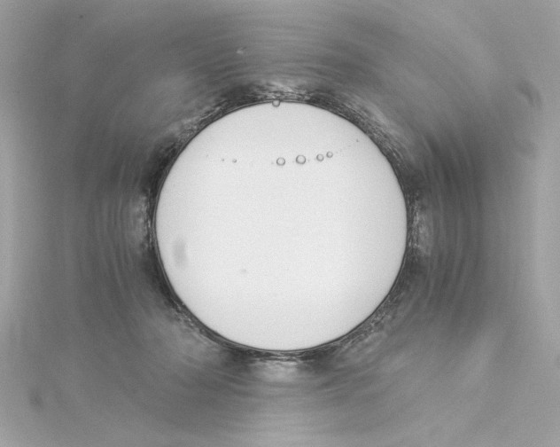 X0000115280318200911272012