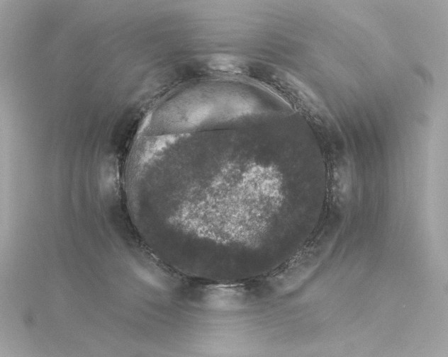 X0000115280320200911272012