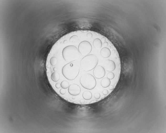 X0000115280321200911272012