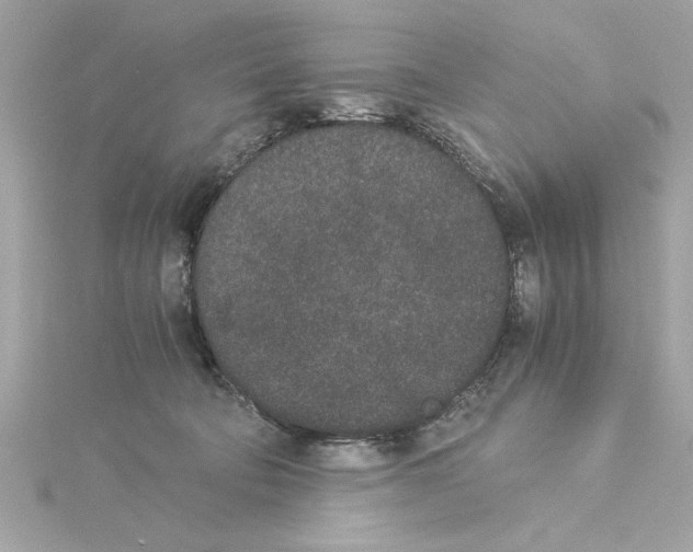 X0000115280322200911272012