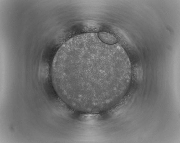 X0000115280323200911272012