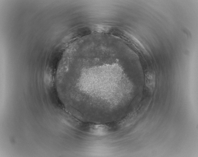 X0000115280324200911272012