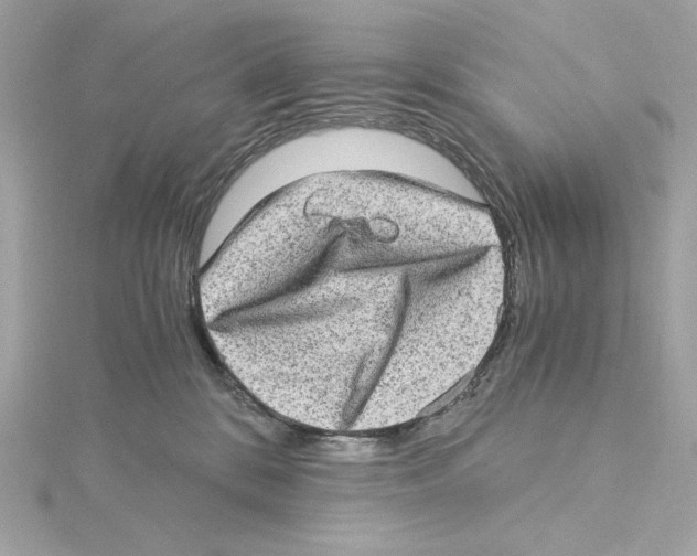 X0000115280328200911272012