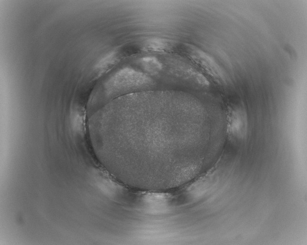 X0000115280332200911272012