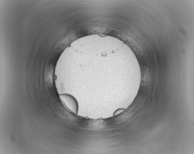 X0000115280334200911272012