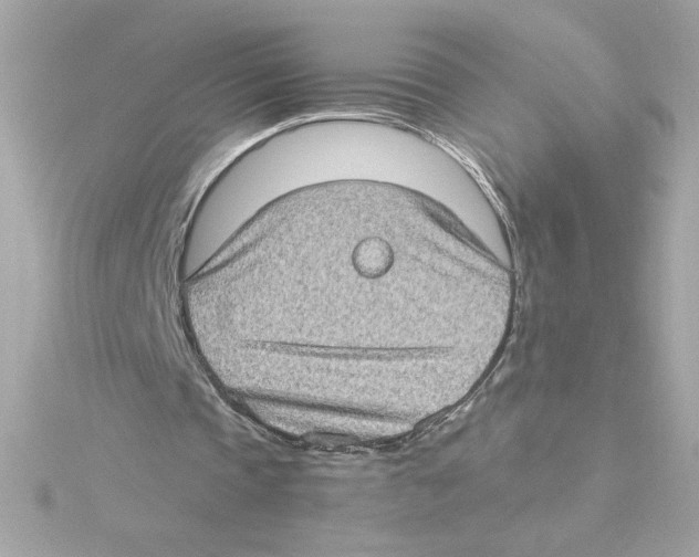 X0000115280337200911272011