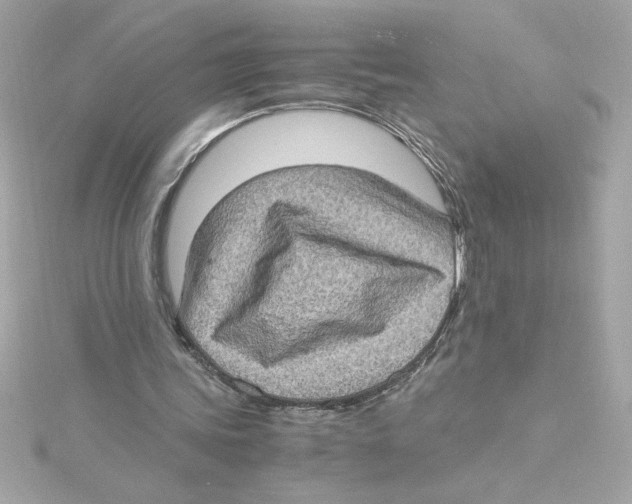 X0000115280339200911272011