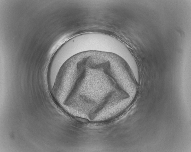 X0000115280341200911272011