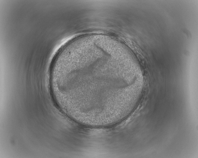 X0000115280342200911272011