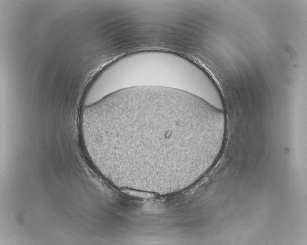 X0000115280345200911272011