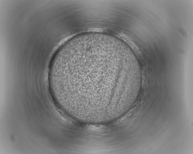 X0000115280346200911272011