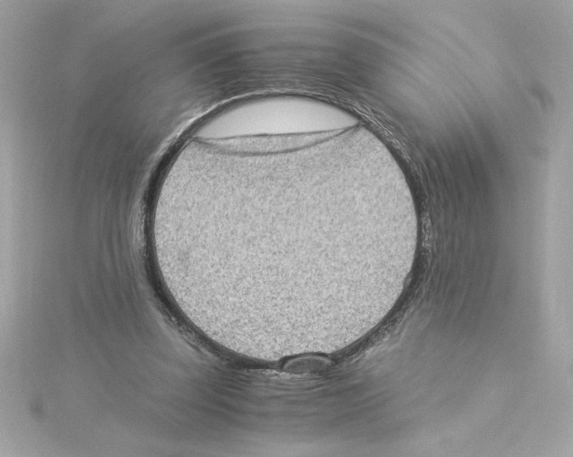 X0000115280347200911272011