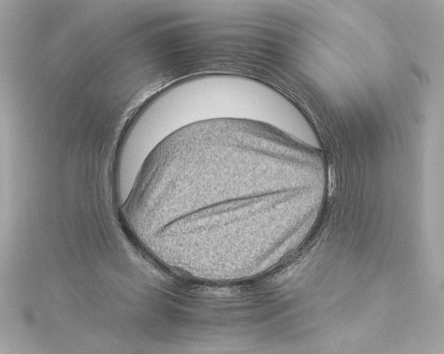 X0000115280349200911272011