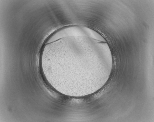 X0000115280350200911272011