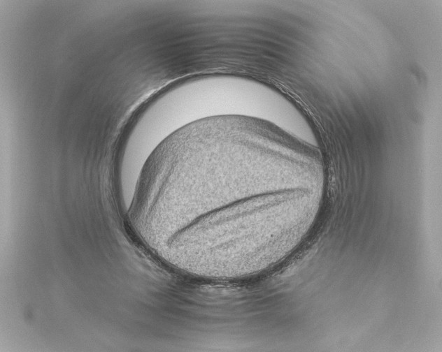 X0000115280351200911272011